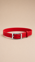 Luna Waterproof Silicone Dog Collar